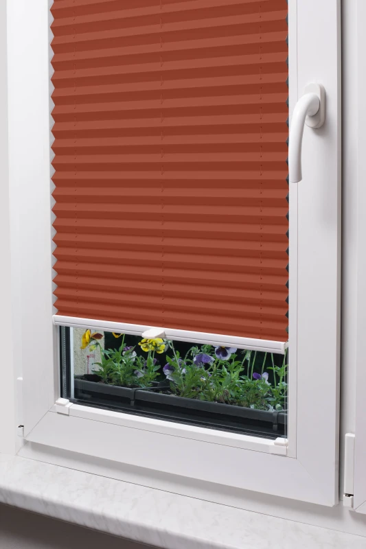 Rot